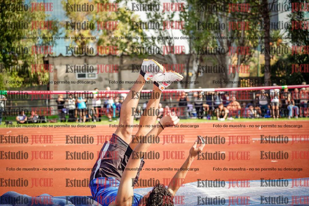 Fotos del salto en alto de varones