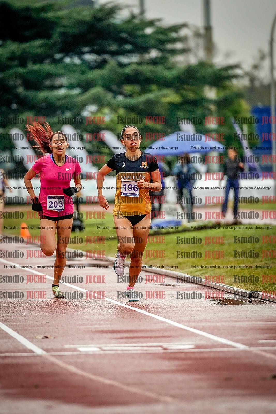 Fotos de los 1500 m llanos de mujeres