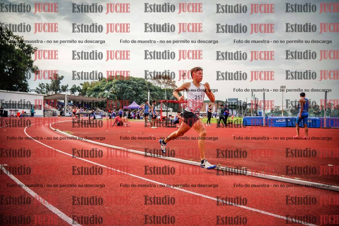 Fotos de los 1500 m llanos de varones