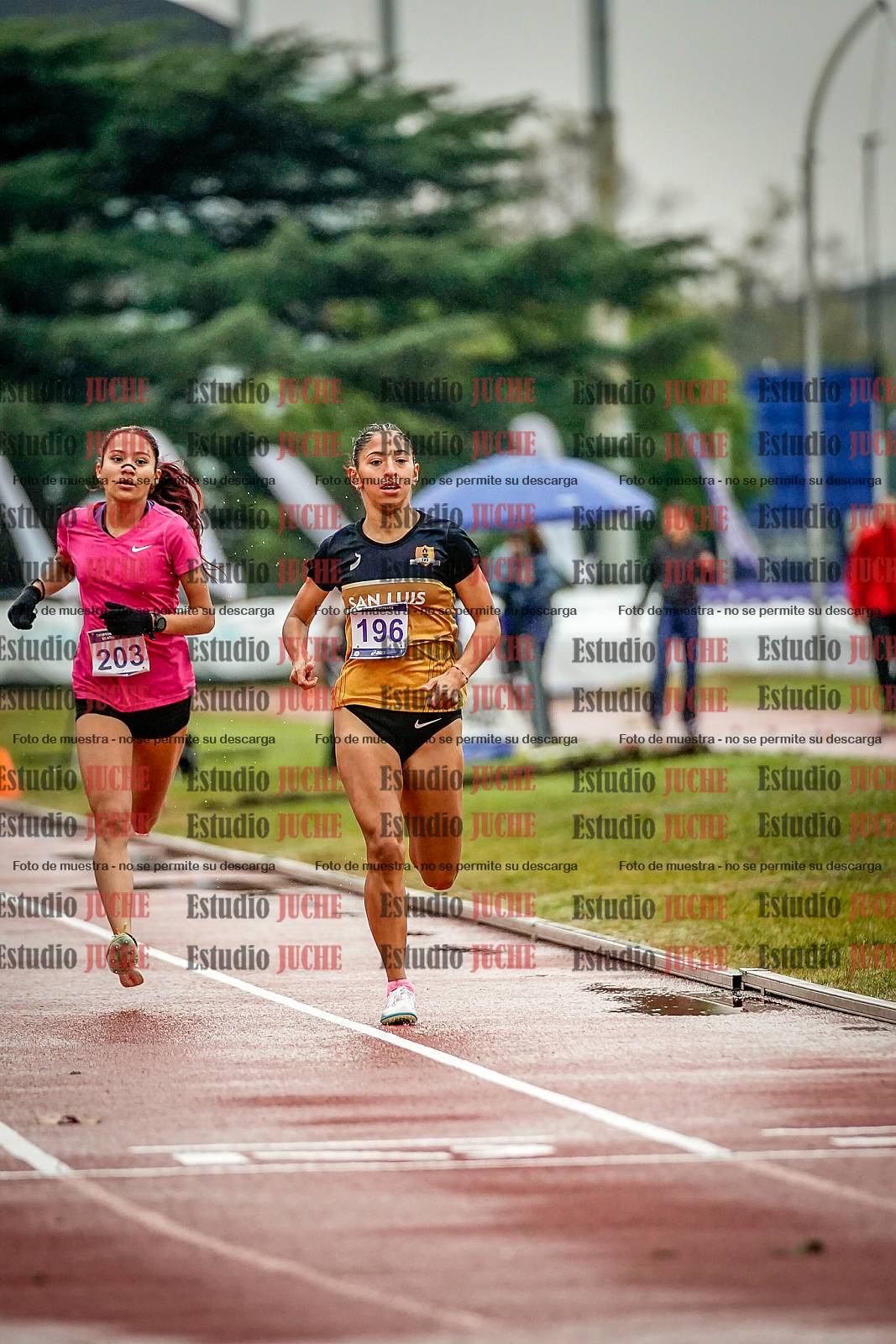 Fotos de los 1500 m llanos de mujeres