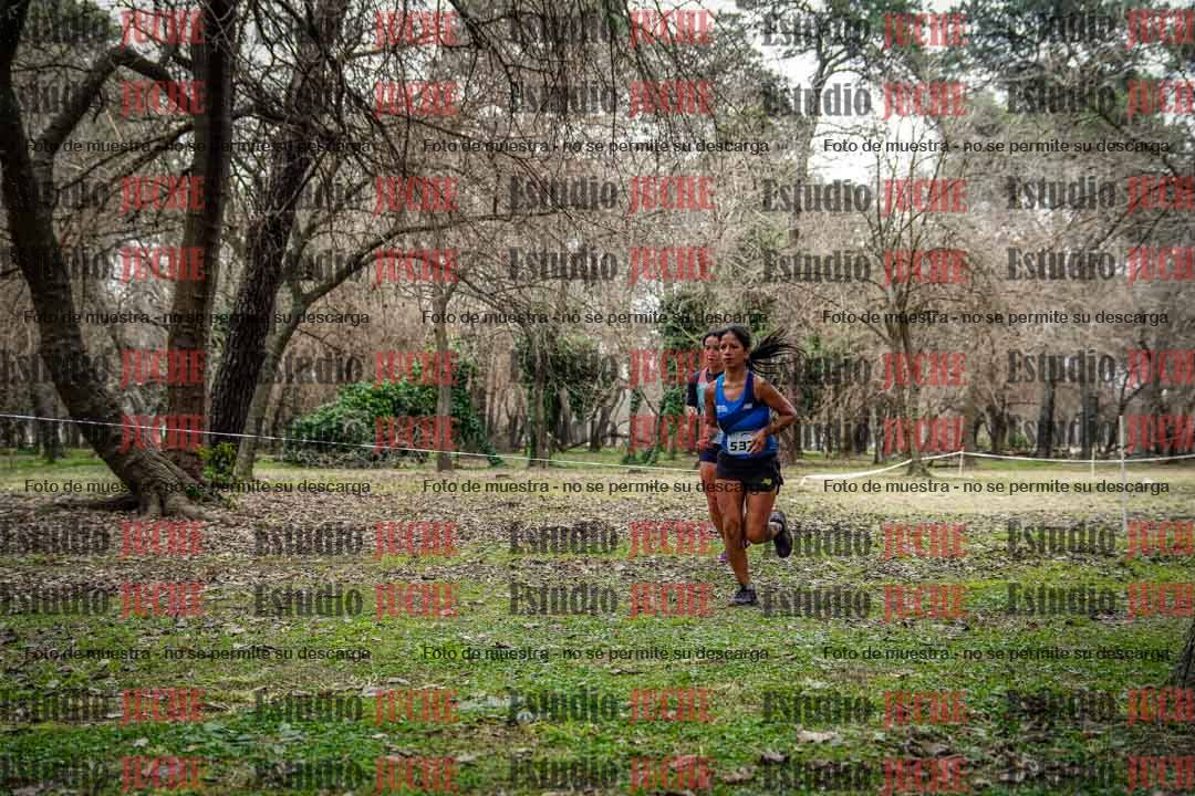 Fotos en el circuito