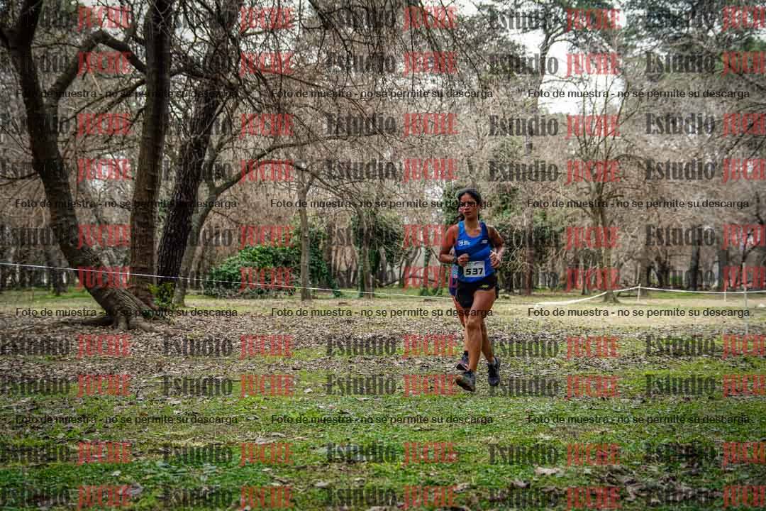 Fotos en el circuito