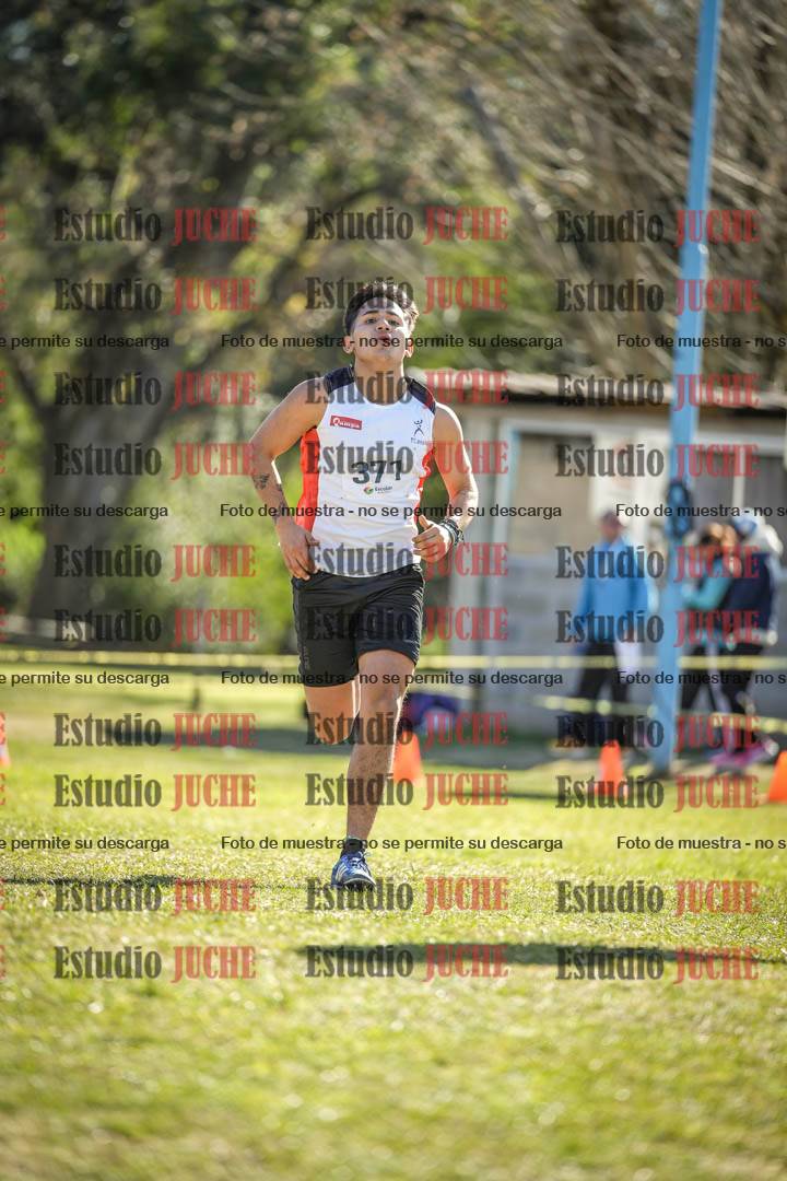Fotos de la llegada del cross de 8000 m