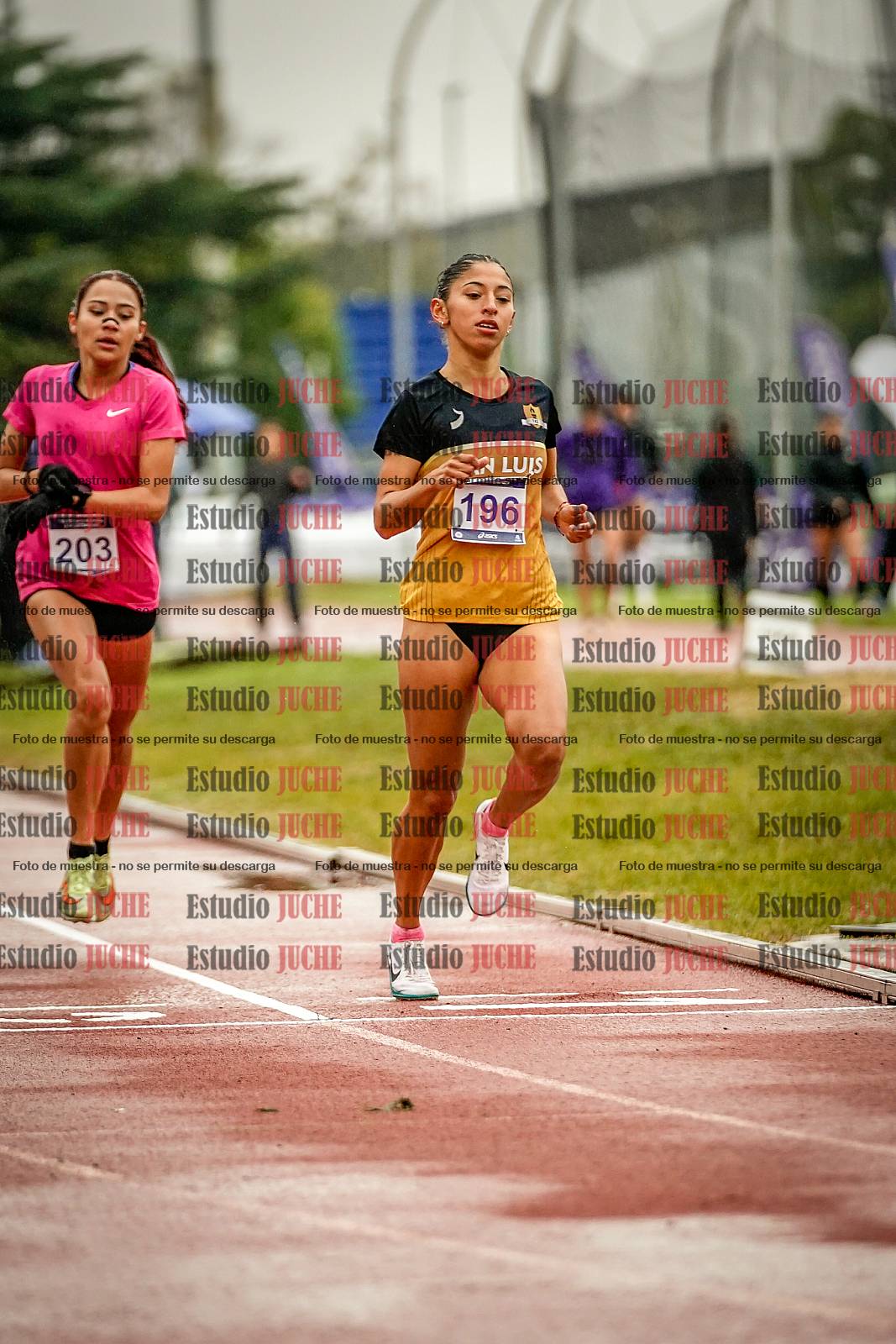 Fotos de los 1500 m llanos de mujeres