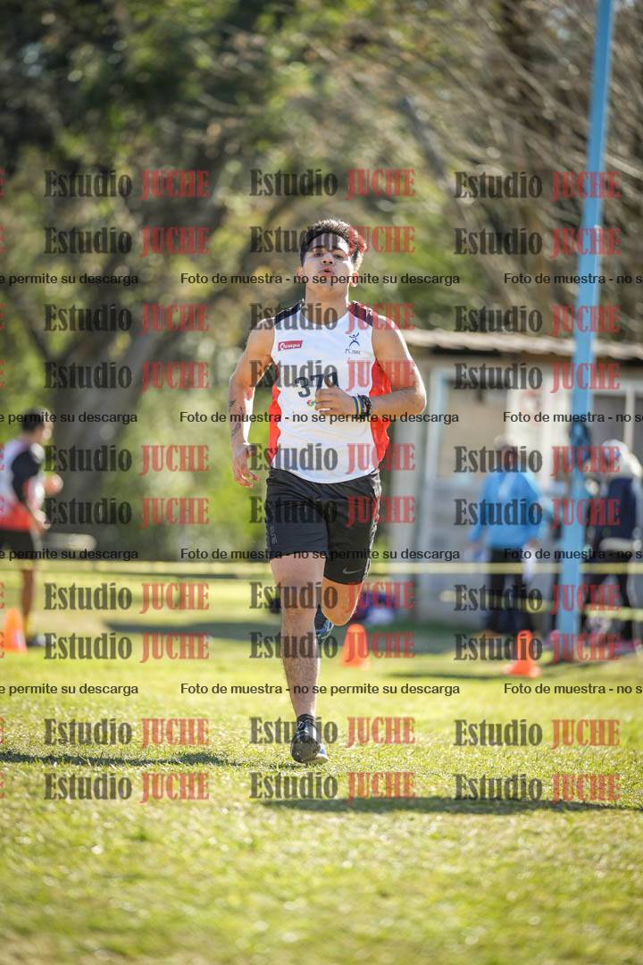 Fotos de la llegada del cross de 8000 m