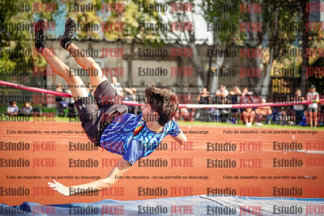 Fotos del salto en alto de varones