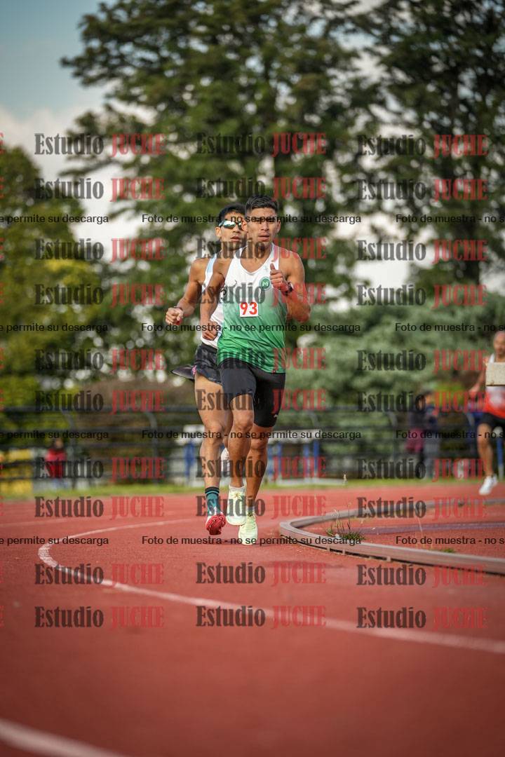 Fotos de los 5000 m llanos
