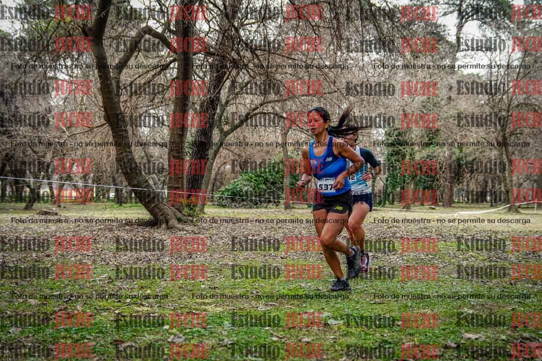 Fotos en el circuito