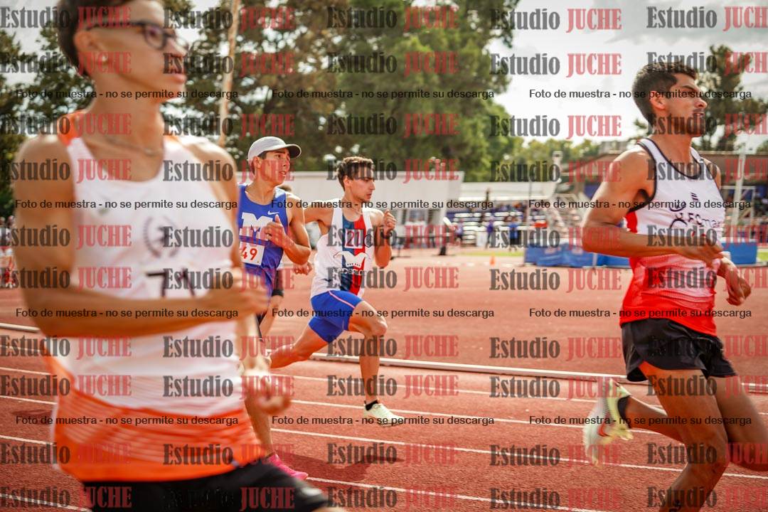 Fotos de los 800 m llanos de varones
