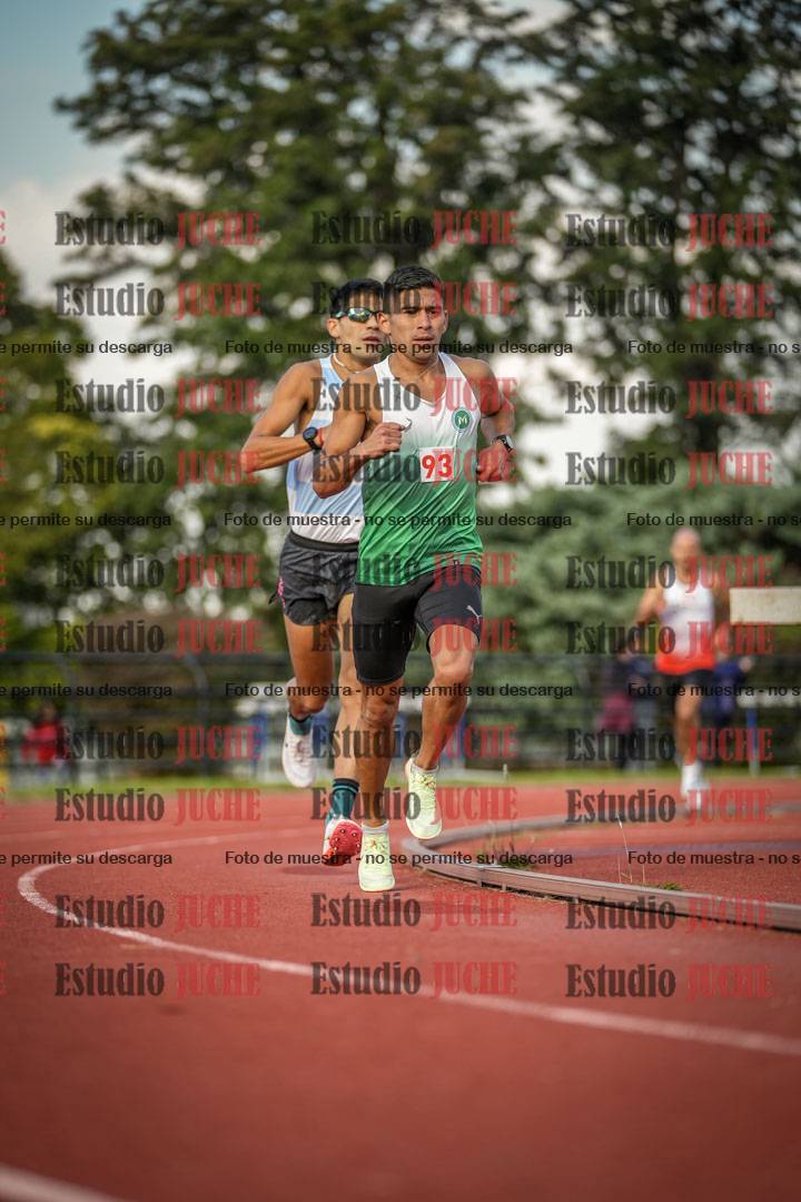 Fotos de los 5000 m llanos