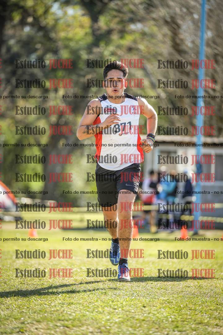 Fotos de la llegada del cross de 8000 m