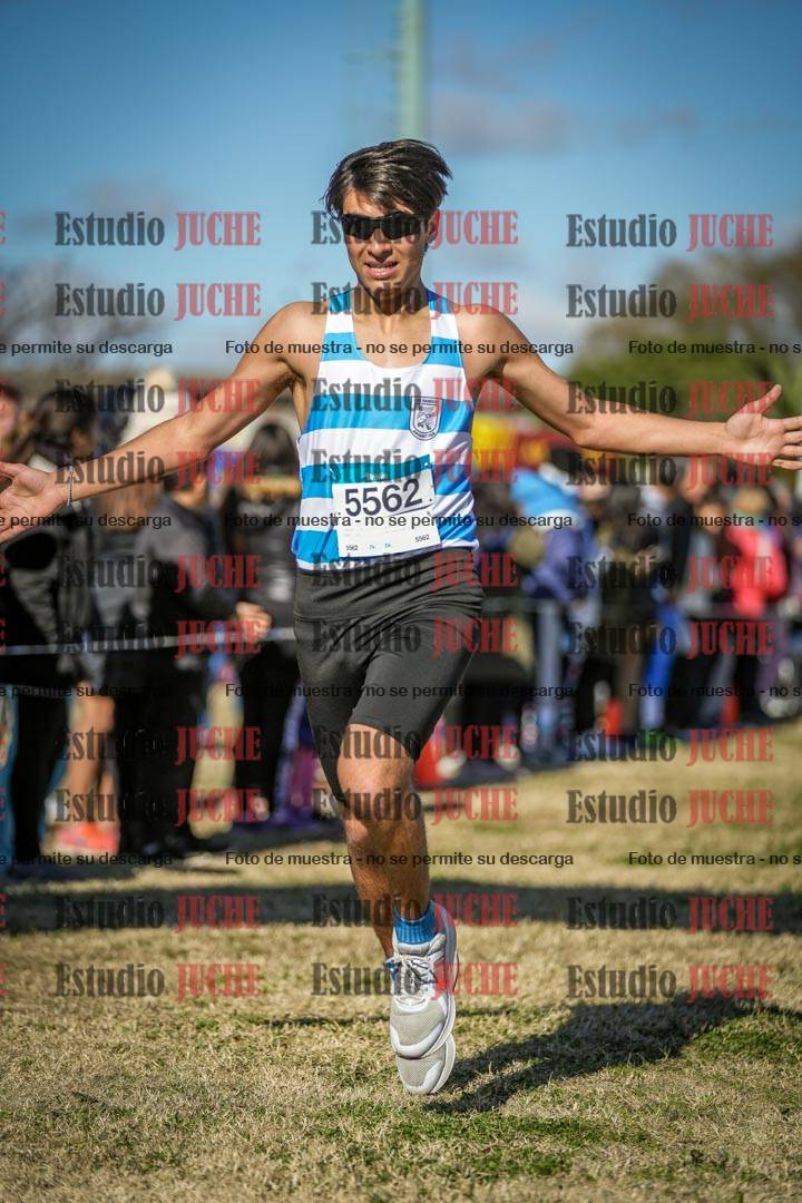 Fotos de las llegadas
