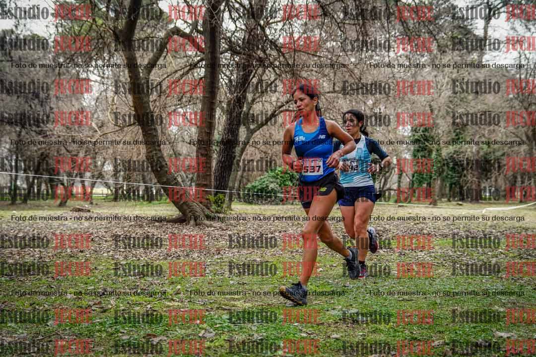 Fotos en el circuito