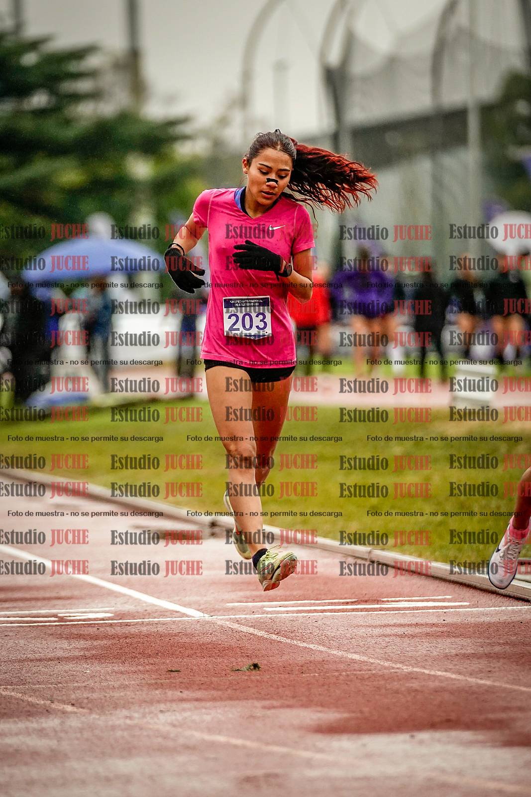 Fotos de los 1500 m llanos de mujeres