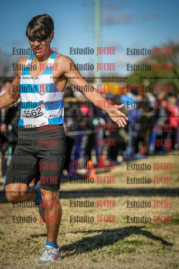 Fotos de las llegadas