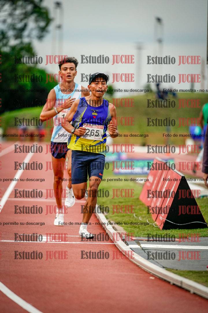 Fotos de los 10.000 m llanos de varones