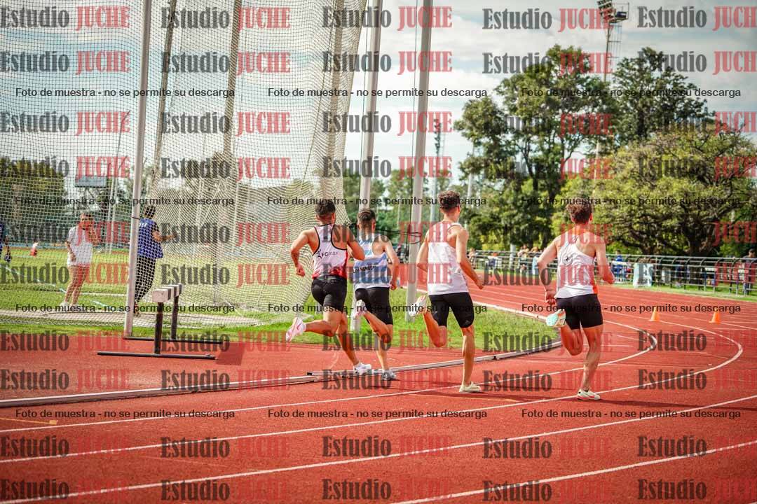 Fotos de los 800 m llanos de varones