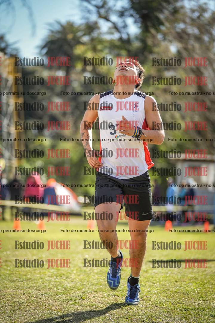 Fotos de la llegada del cross de 8000 m