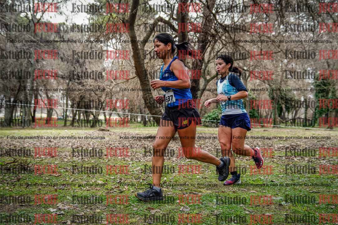 Fotos en el circuito