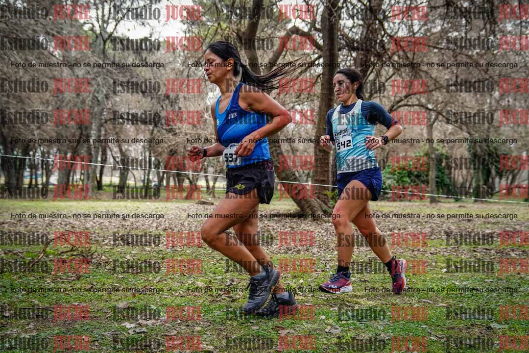 Fotos en el circuito