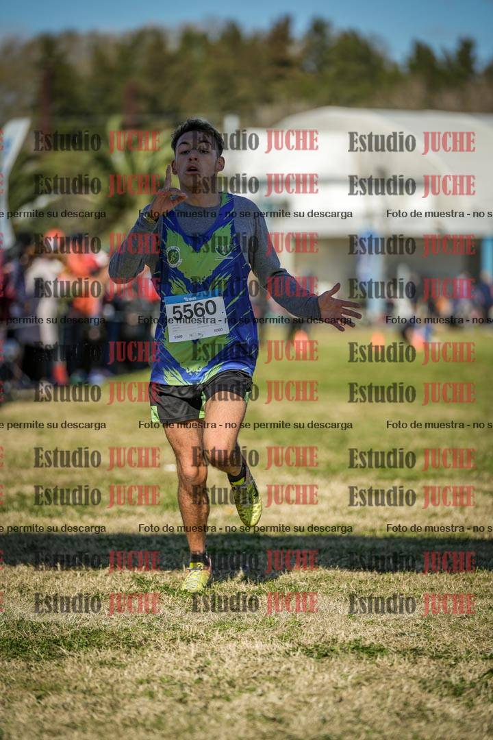 Fotos de las llegadas