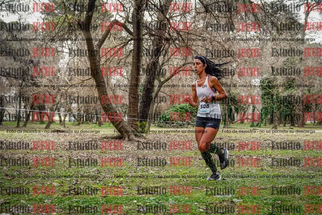 Fotos en el circuito