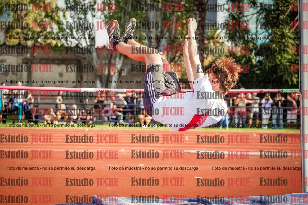 Fotos del salto en alto de varones