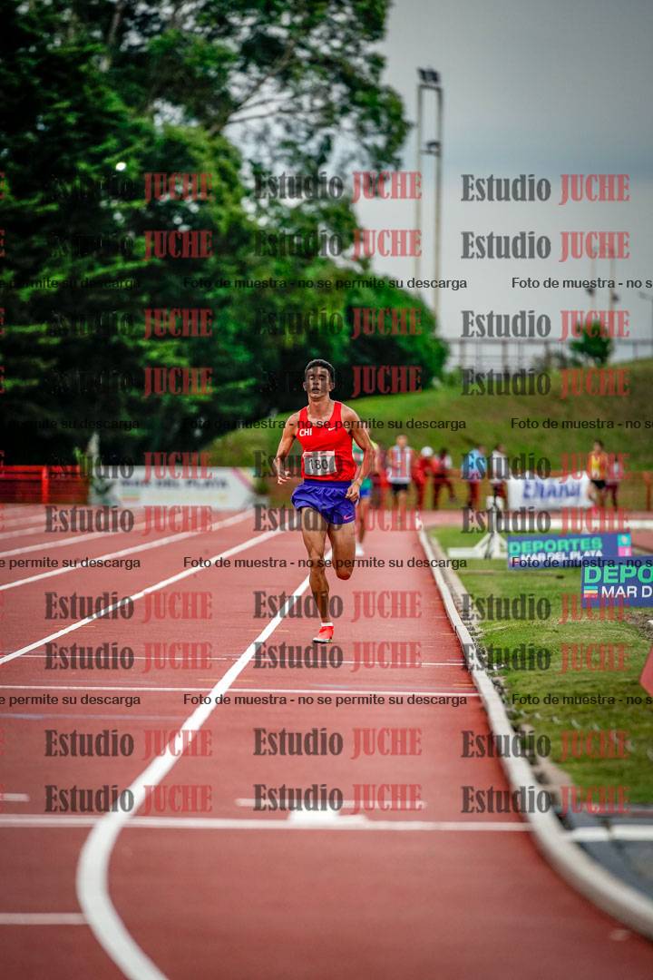 Fotos de los 10.000 m llanos de varones