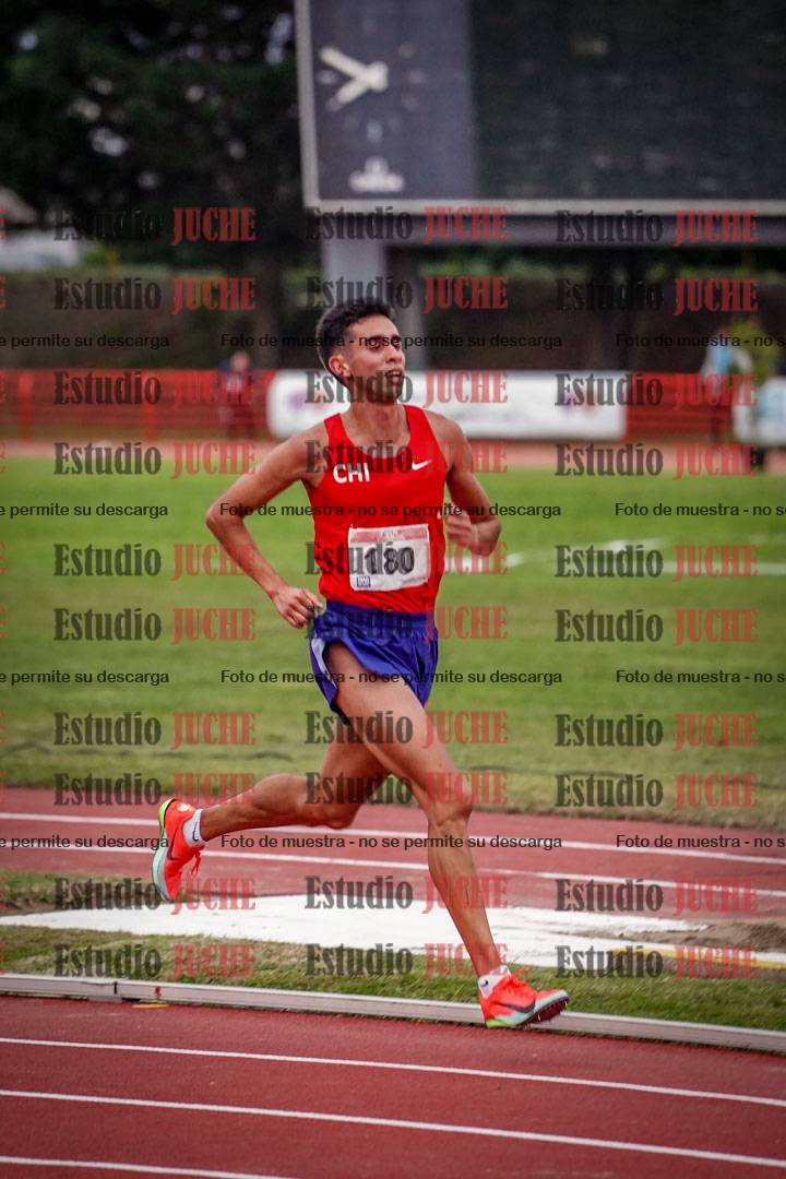 Fotos de los 10.000 m llanos de varones