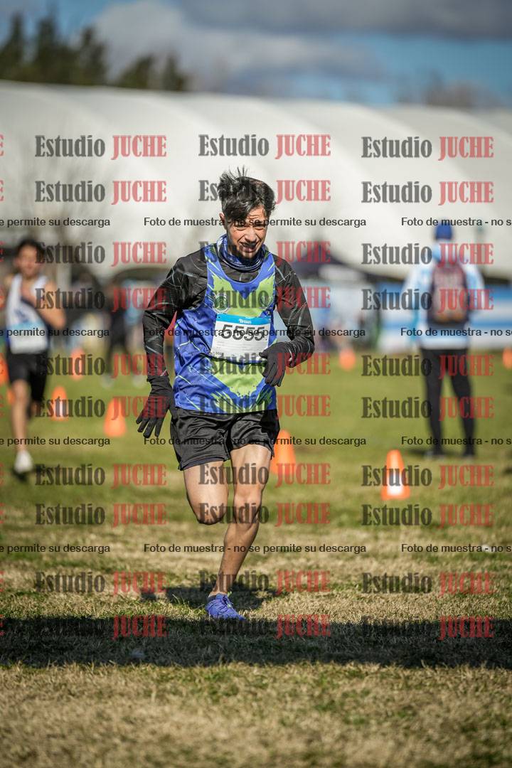 Fotos de las llegadas