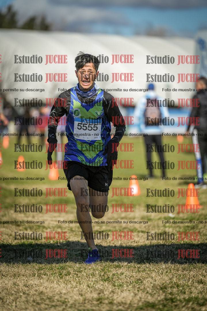 Fotos de las llegadas