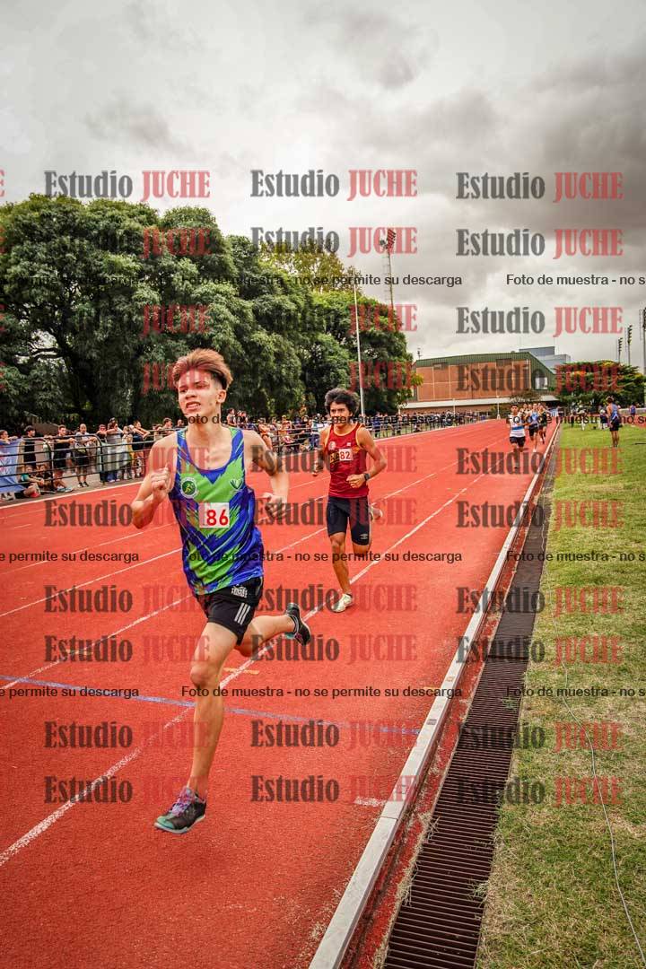 Fotos de los 800 m de varones