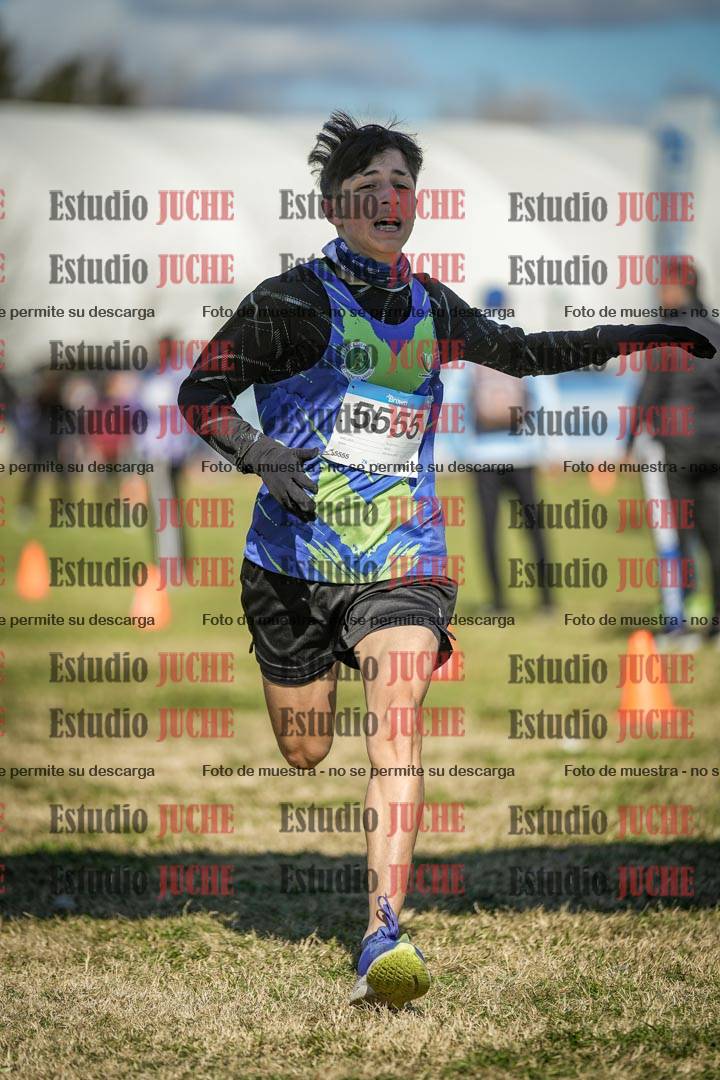 Fotos de las llegadas