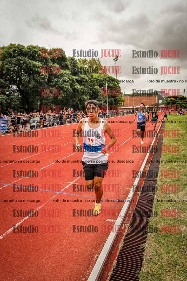 Fotos de los 800 m de varones