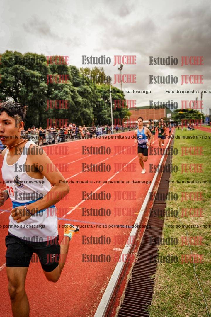 Fotos de los 800 m de varones