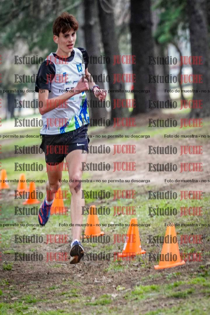 Fotos en el circuito