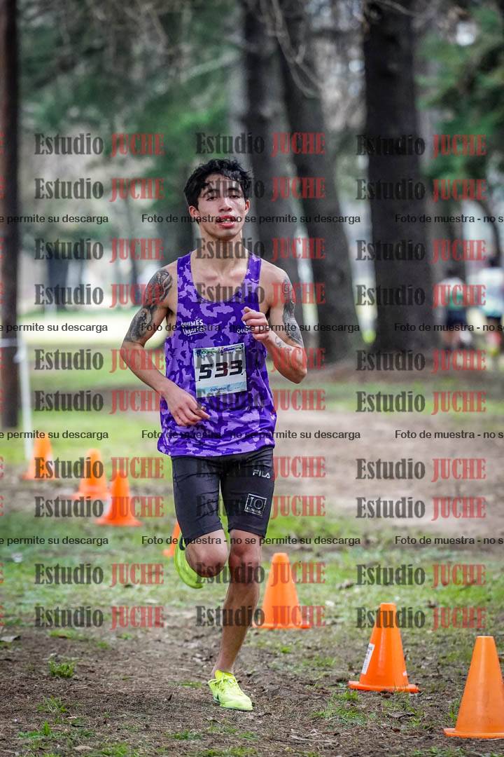 Fotos en el circuito