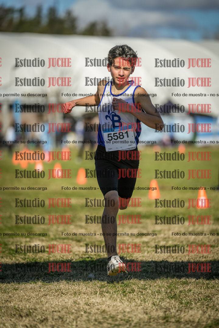 Fotos de las llegadas