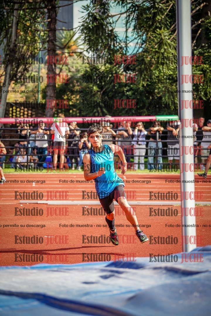 Fotos del salto en alto de varones
