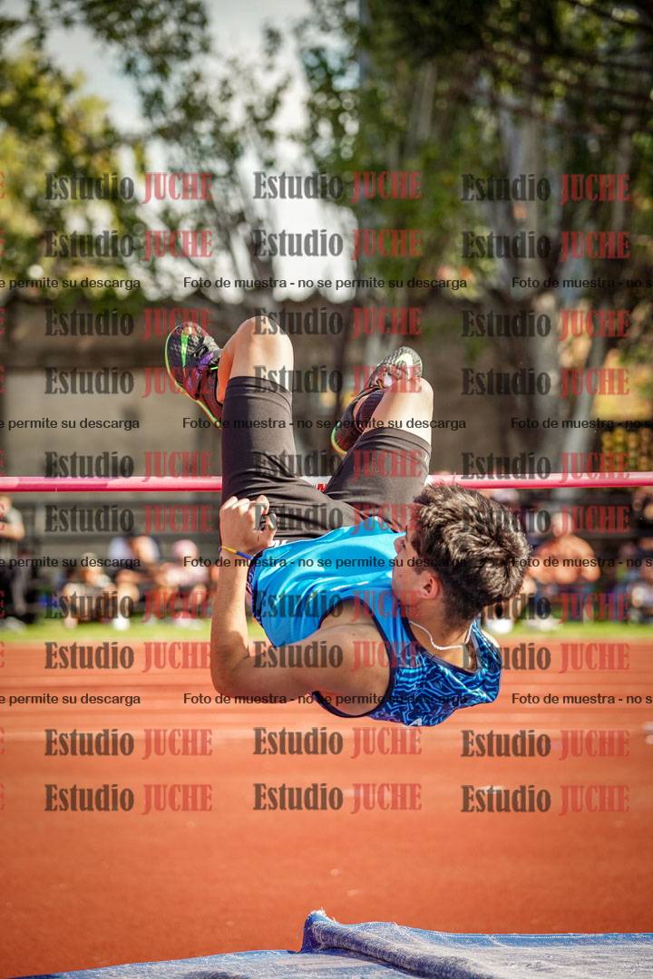 Fotos del salto en alto de varones