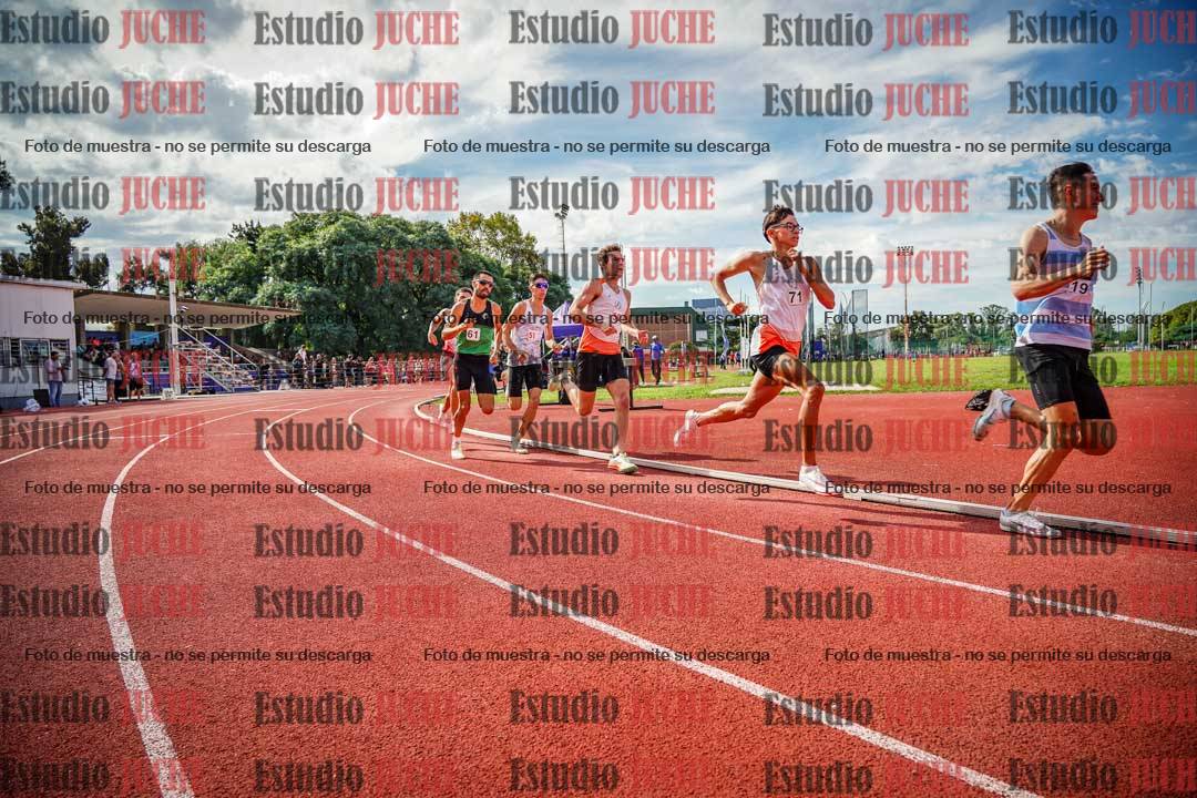 Fotos de los 800 m llanos de varones