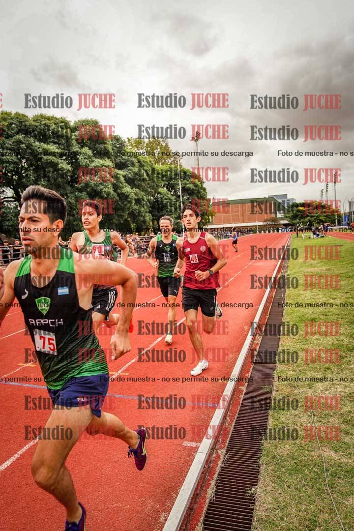 Fotos de los 800 m de varones