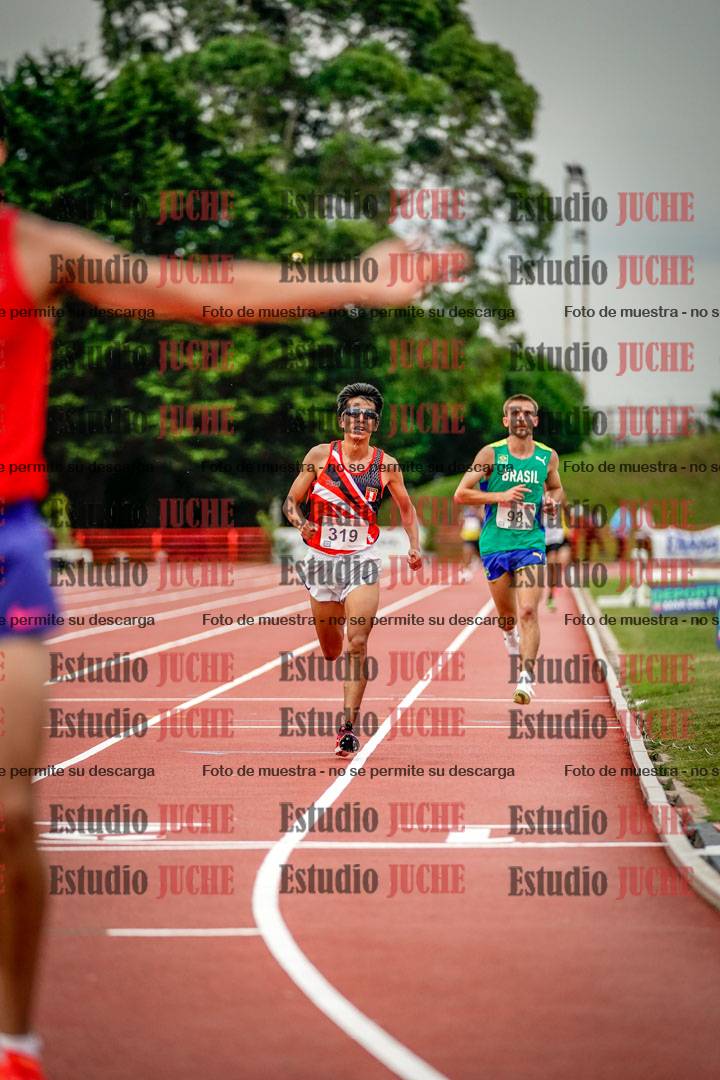 Fotos de los 10.000 m llanos de varones