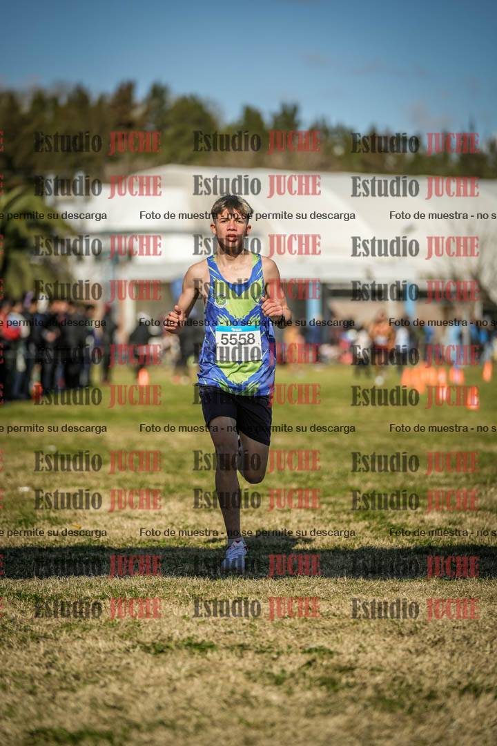 Fotos de las llegadas