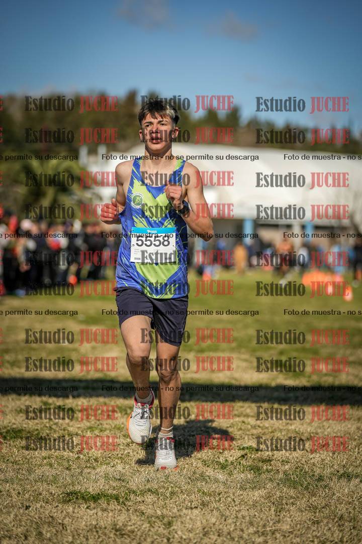 Fotos de las llegadas