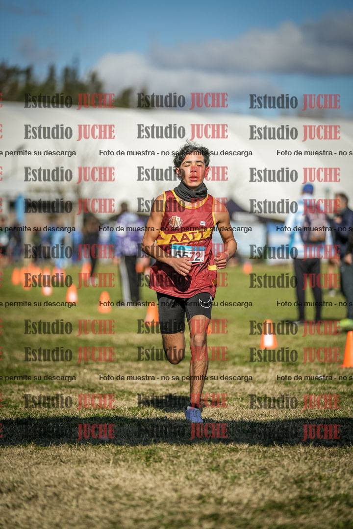 Fotos de las llegadas