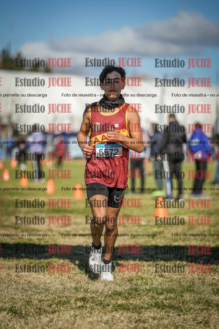 Fotos de las llegadas