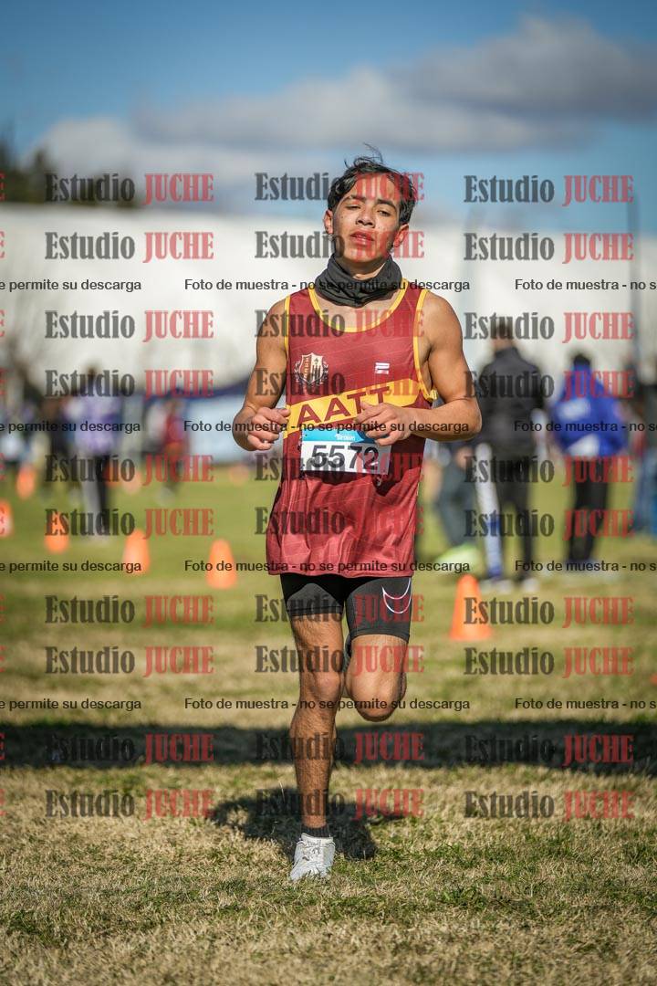 Fotos de las llegadas