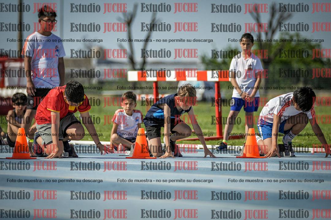 Fotos de los 50 m llanos de varones