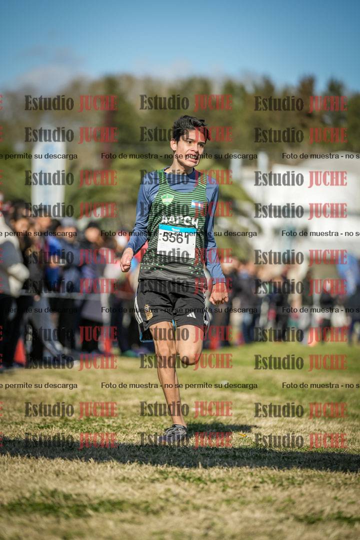 Fotos de las llegadas
